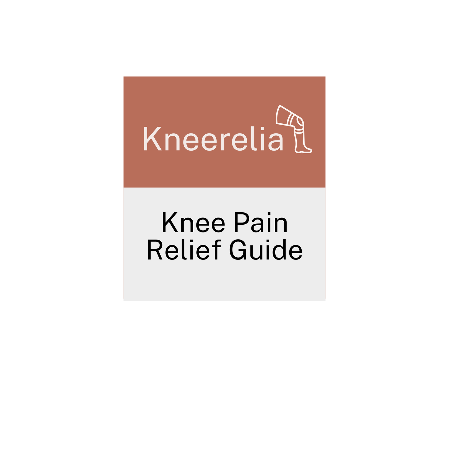 Knee Pain Relief Guide